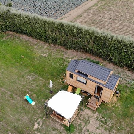 Tiny House Sur La Presqu'Ile Sauvage Lanmodez Exterior foto